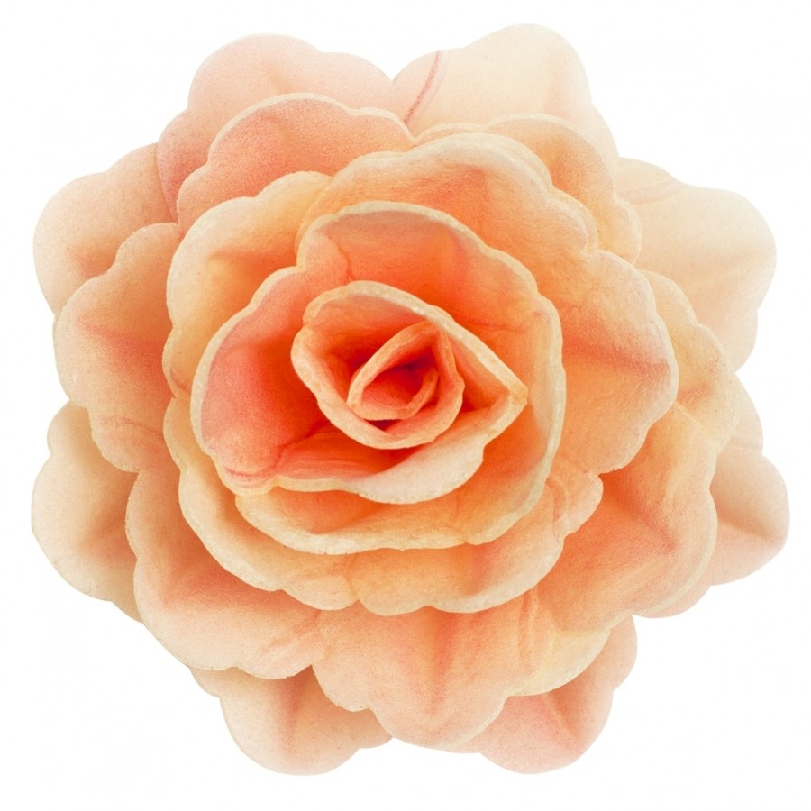 Šviesiai oranžinė vaflinė rožė 7cm