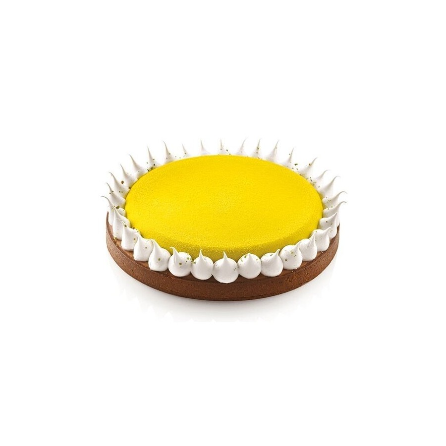 Silikoninių formų rinkinys KIT TARTE RING ø230