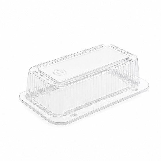 238 × 138 × 73 mm Plastikinė dėžutė stačiakampė