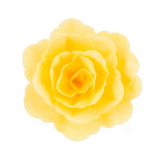 Geltona vaflinė rožė 7cm