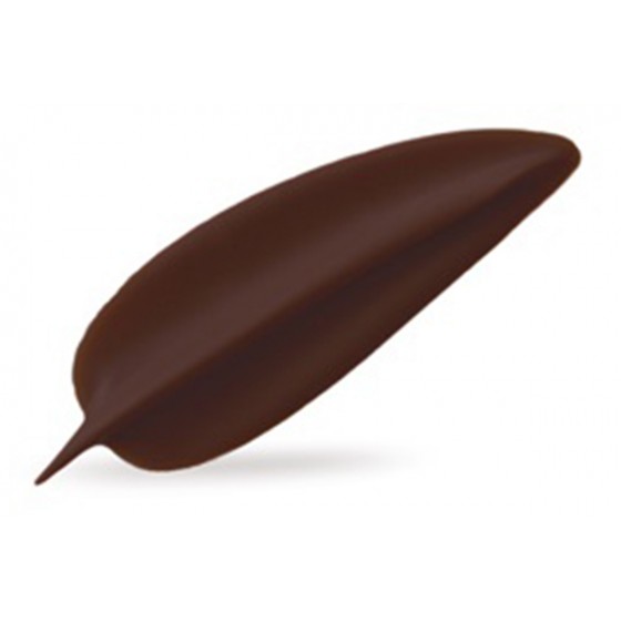 Šokolado papuošimas tamsus lapas elegancija