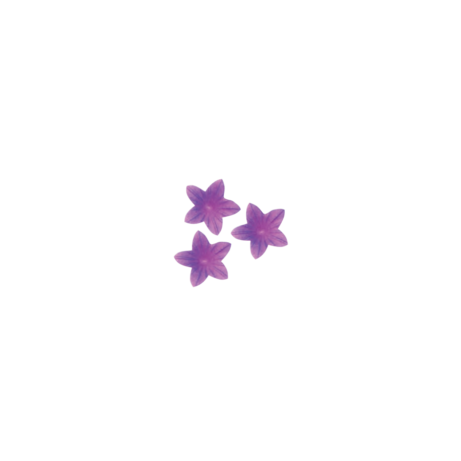 Vaflinės gėlės mini violetinės