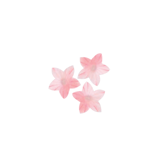 Vaflinės gėlės mini rožinės 2cm