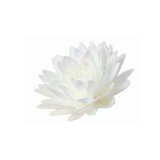 Vaflinis bijūnas baltas 12,5 cm