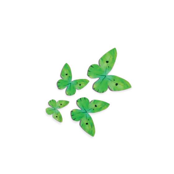 Vaflinių drugeliai žali 3-6cm