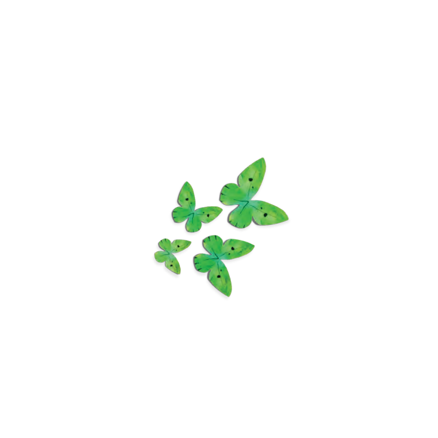 Vaflinių drugeliai žali 3-6cm