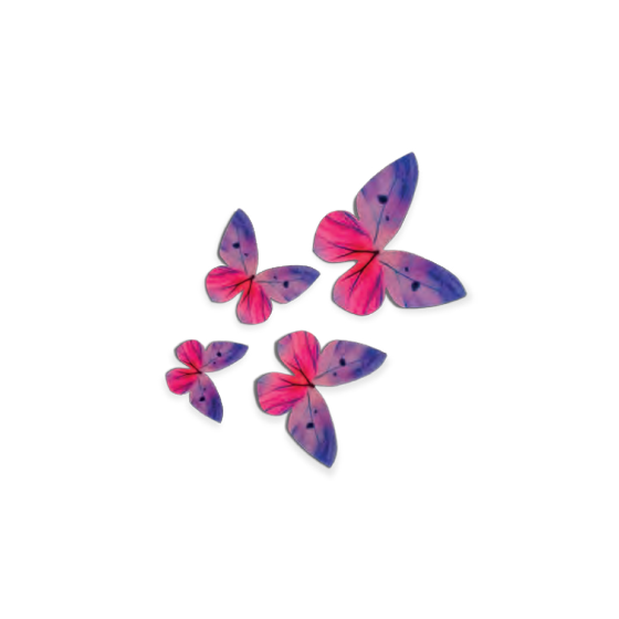 Vaflinių drugeliai violetiniai