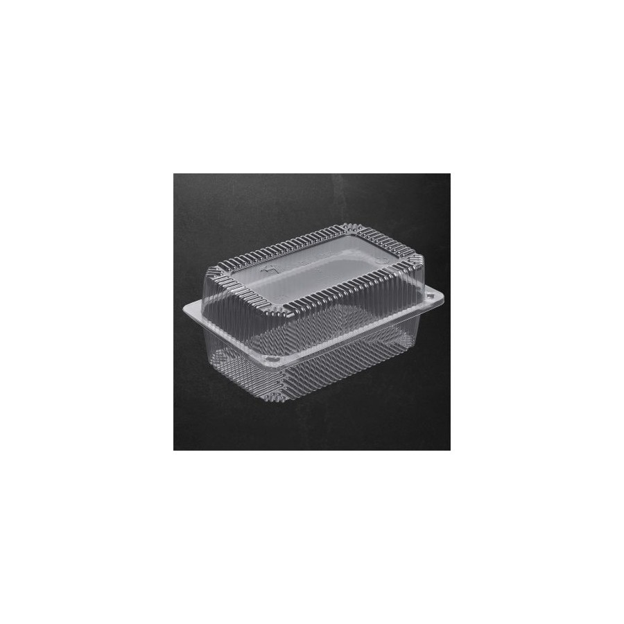 221x140x96 mm Plastikinė dėžutė stačiakampė