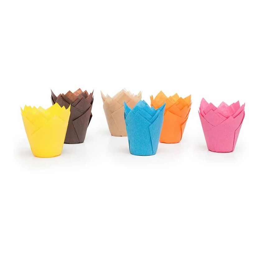 15050 Spalvotos popierinės formelės Tulip