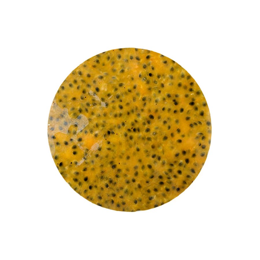 Pasiflorų įdaras su sėklomis (be konservantų)