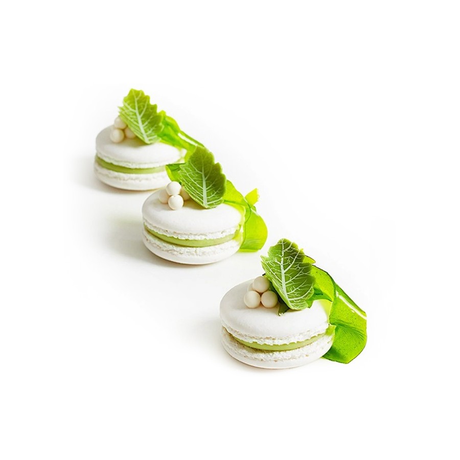 Šokoladinis žalias lenktas lapelis