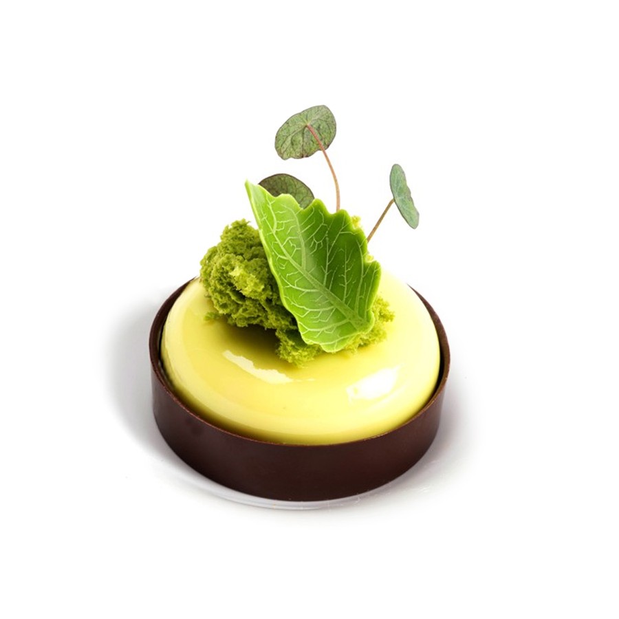 Šokoladinis žalias lenktas lapelis